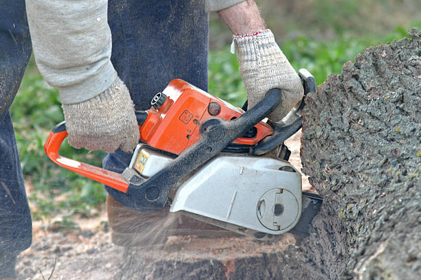 Best Lawn Mowing  in New Boston, TX